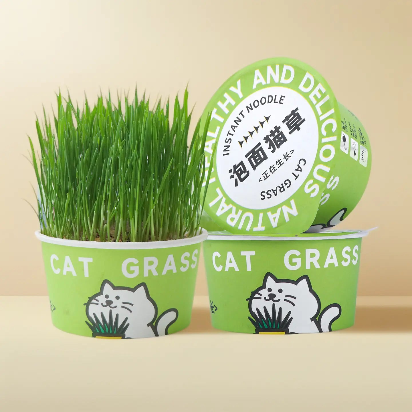 Easy-Grow Pet Grass Planter - Non-Gmo Feline Grass Treats for Hairball Control, Digestion Support, Chewing Needs - Ideal for Cats