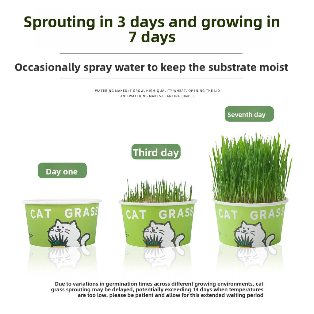 Easy-Grow Pet Grass Planter - Non-Gmo Feline Grass Treats for Hairball Control, Digestion Support, Chewing Needs - Ideal for Cats