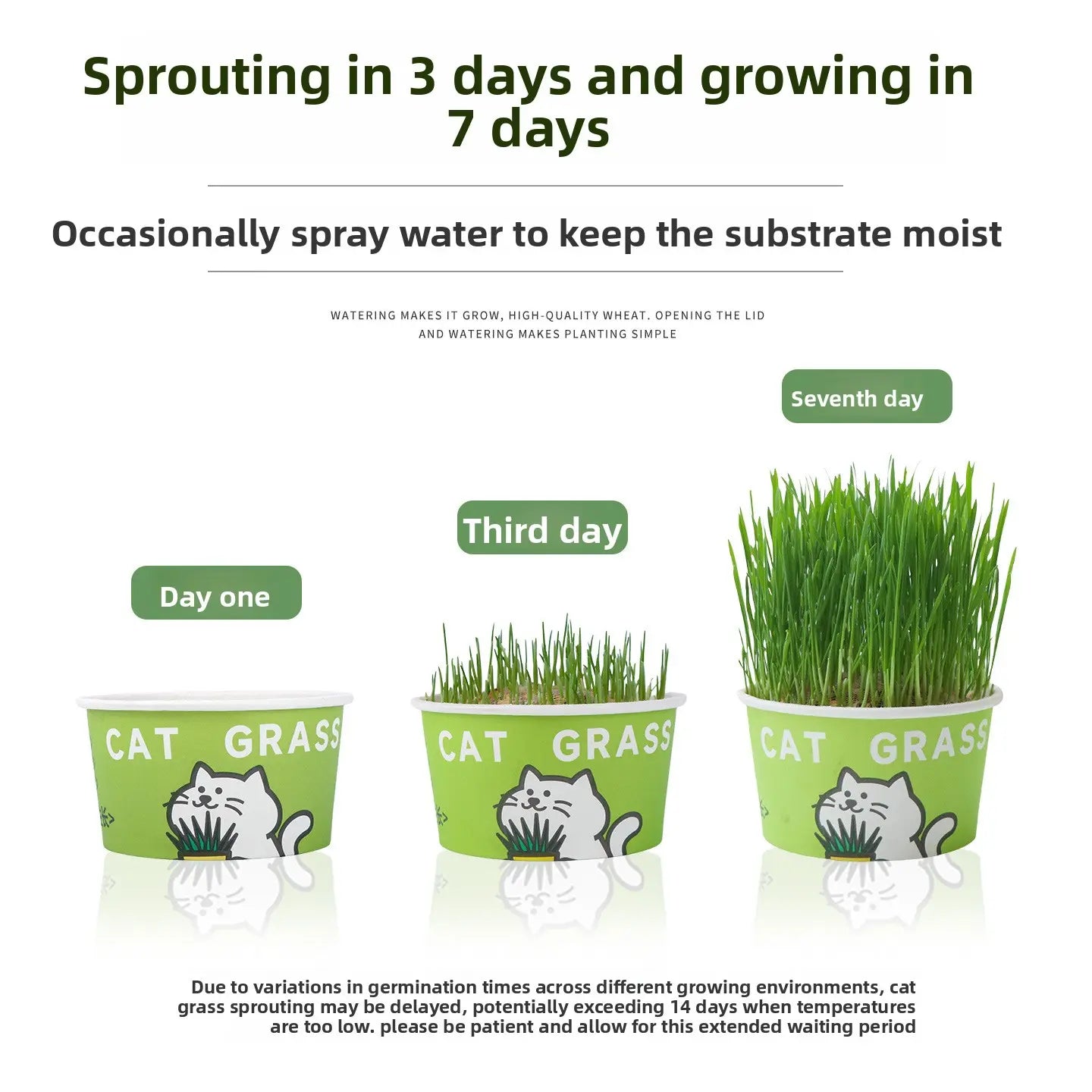 Easy-Grow Pet Grass Planter - Non-Gmo Feline Grass Treats for Hairball Control, Digestion Support, Chewing Needs - Ideal for Cats