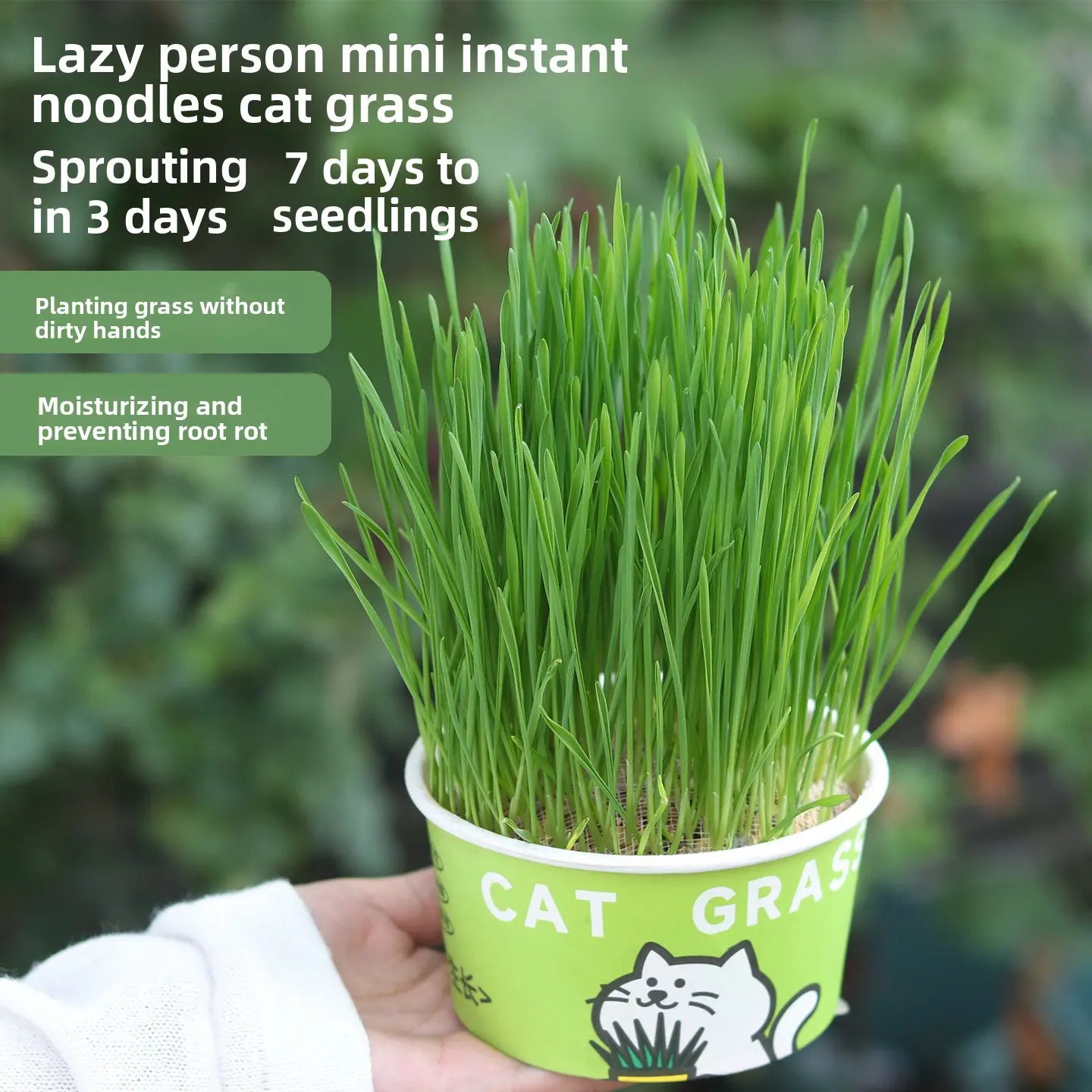 Easy-Grow Pet Grass Planter - Non-Gmo Feline Grass Treats for Hairball Control, Digestion Support, Chewing Needs - Ideal for Cats