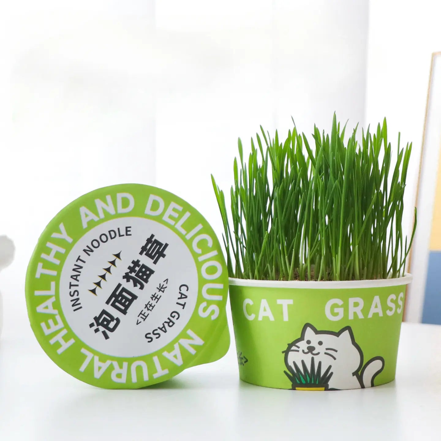 Easy-Grow Pet Grass Planter - Non-Gmo Feline Grass Treats for Hairball Control, Digestion Support, Chewing Needs - Ideal for Cats
