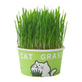 Easy-Grow Pet Grass Planter - Non-Gmo Feline Grass Treats for Hairball Control, Digestion Support, Chewing Needs - Ideal for Cats