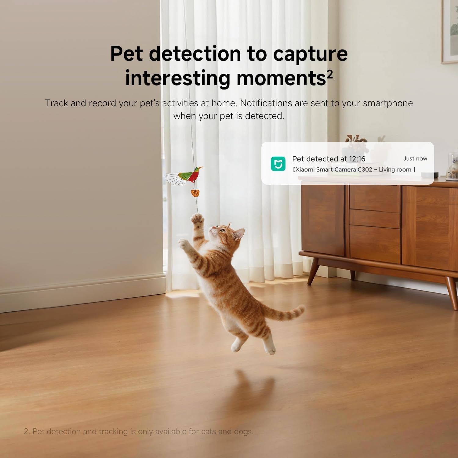 C302 Indoor Camera, 2K 3MP Wi-Fi Pet Camera, 360° Panorama, Privacy Shield, Virtual Barrier, Person and Pet Detection & Tracking, Starlight Colour Night Vision, Two-Way Audio, Alexa & Google
