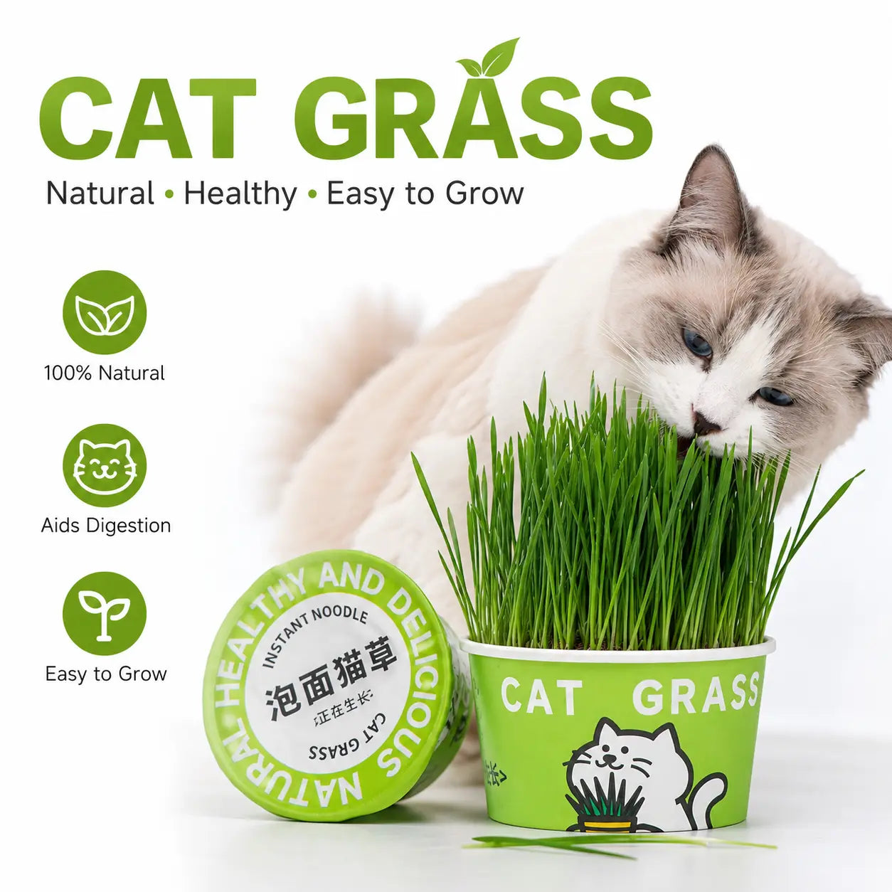 Easy-Grow Pet Grass Planter - Non-Gmo Feline Grass Treats for Hairball Control, Digestion Support, Chewing Needs - Ideal for Cats