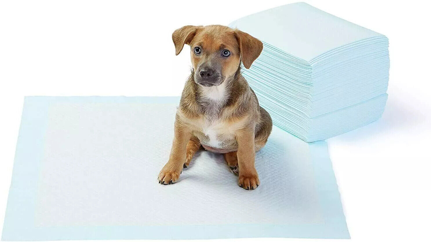Super Absorbent Puppy Training Pads with Odor Control and Triple Locking System