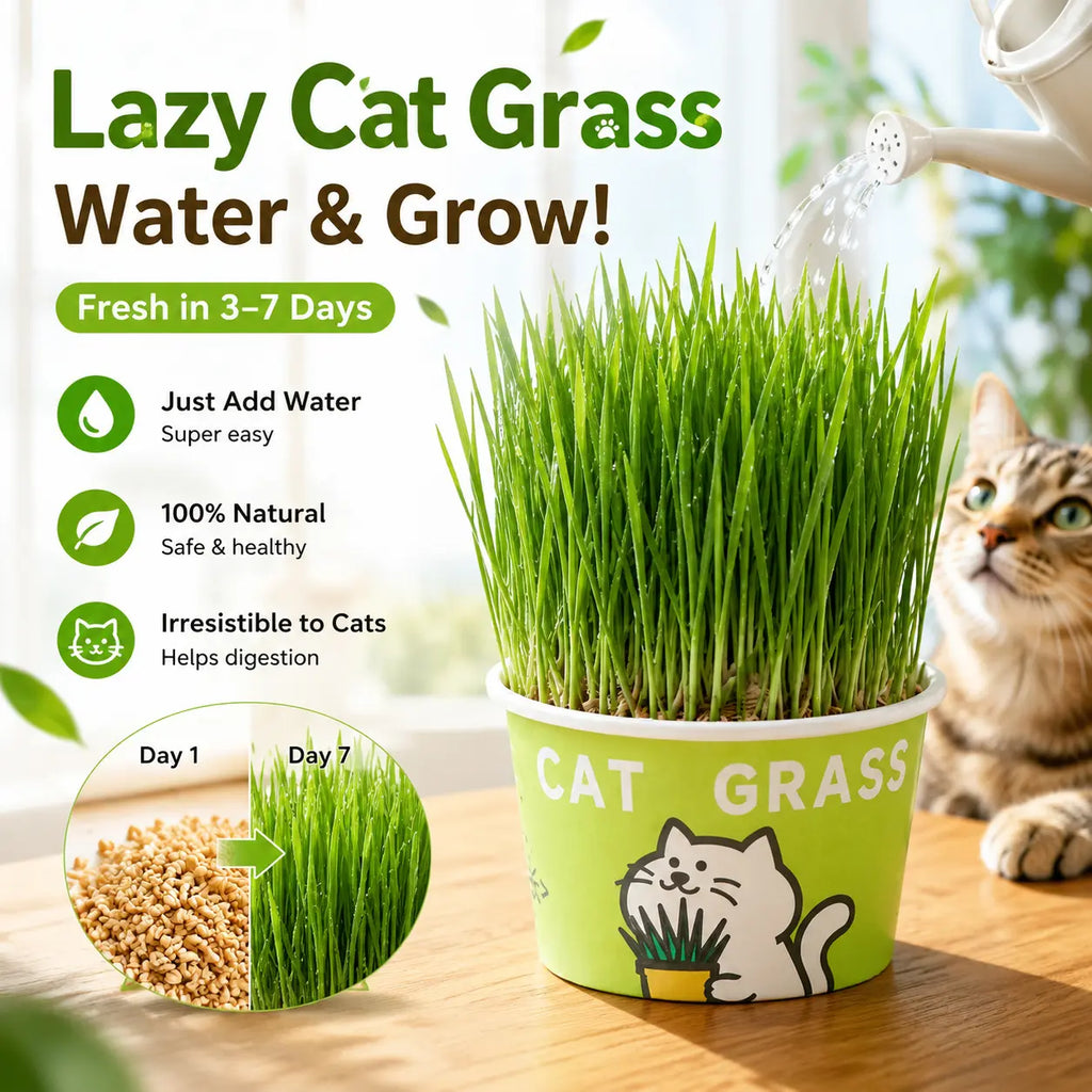 Easy-Grow Pet Grass Planter - Non-Gmo Feline Grass Treats for Hairball Control, Digestion Support, Chewing Needs - Ideal for Cats